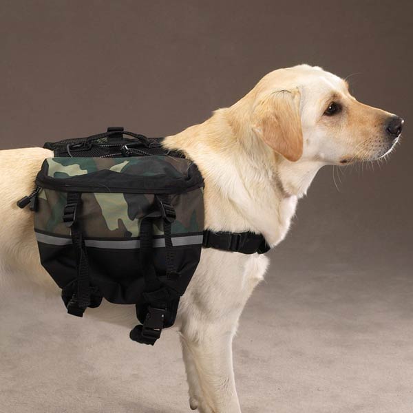 犬用デイパック・ドッグパク・カモフラ柄 装着例