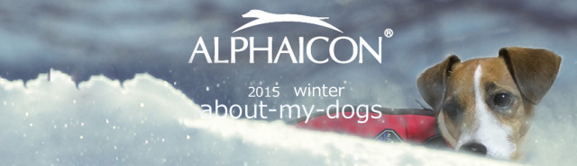 alphaicon_winter2015